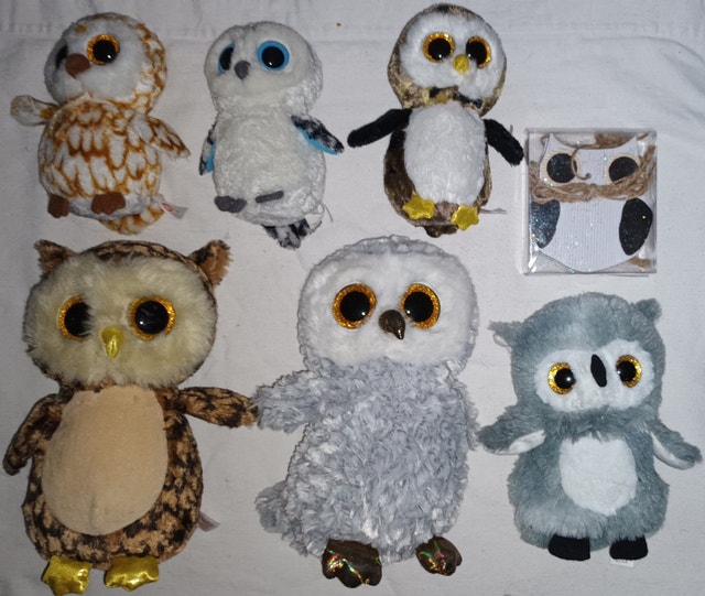 TY Beanie Boo Owl Lot - Swoop, Spells, Owliver & More