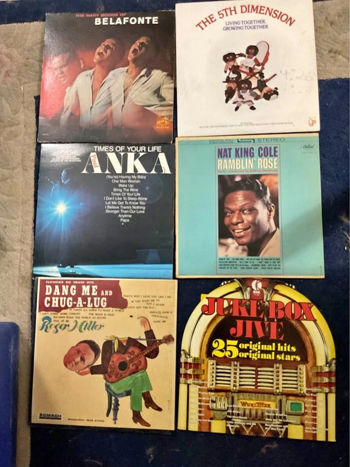 Vinyl LPs NOW $5 Hundreds to View.