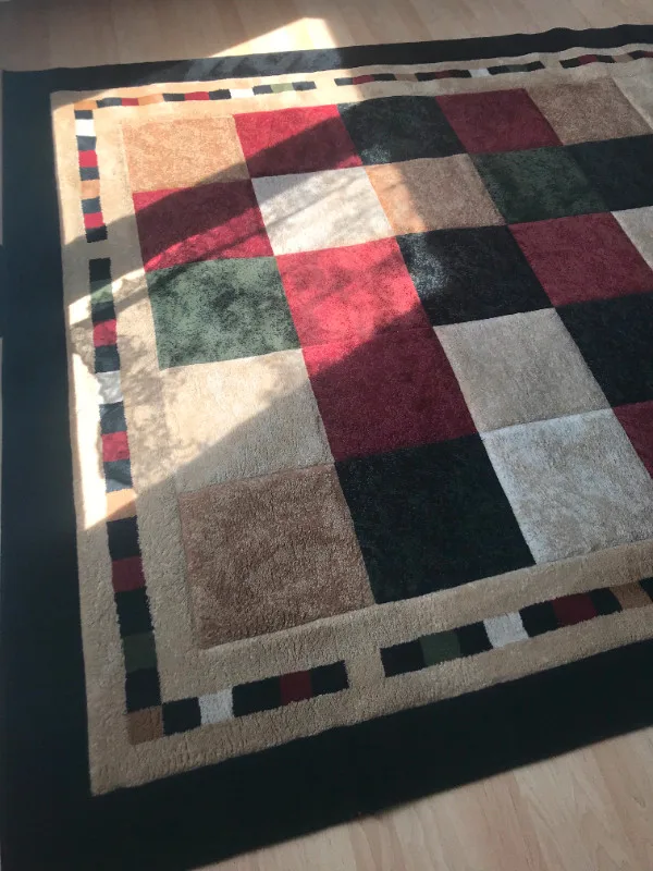 Milano Area Rug 6 feet 6 inches by 9 feet 6 inches lightly used image indicator(4)