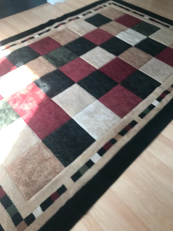 Milano Area Rug 6 feet 6 inches by 9 feet 6 inches lightly used image indicator(5)