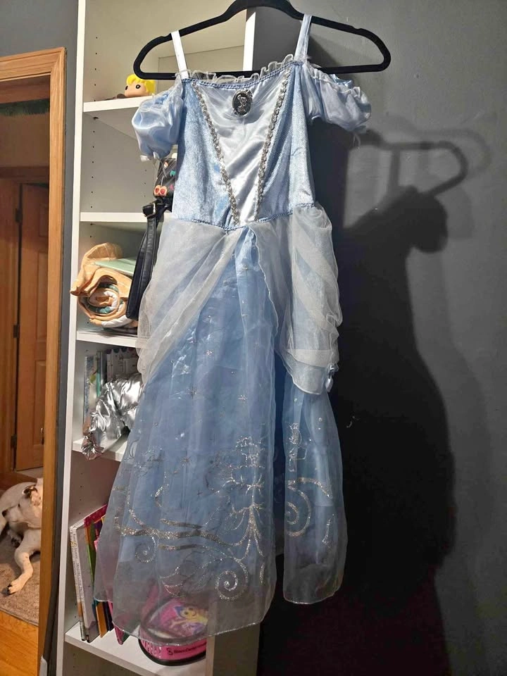 Dress up dresses and costumes