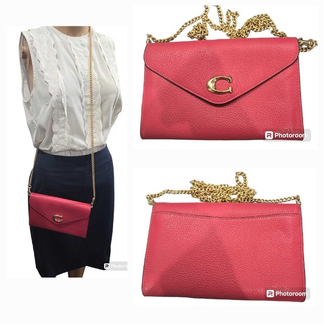 Coach Tammy Clutch & Crossbody Bag