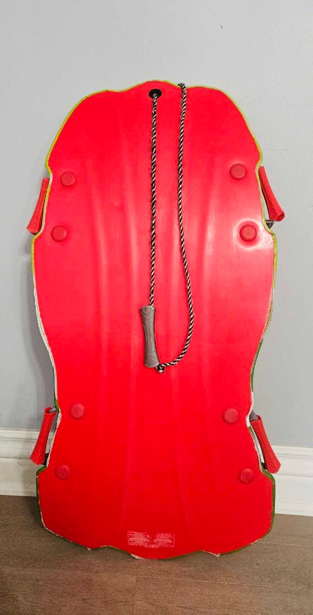Slider / Toboggan - 2-person (moving sale) - photo 2