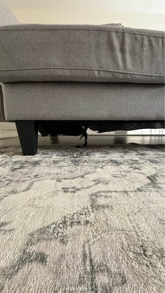 Large Structube Grey Sectional - photo 3