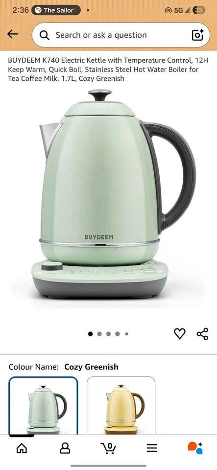 Cozy green stainless kettle