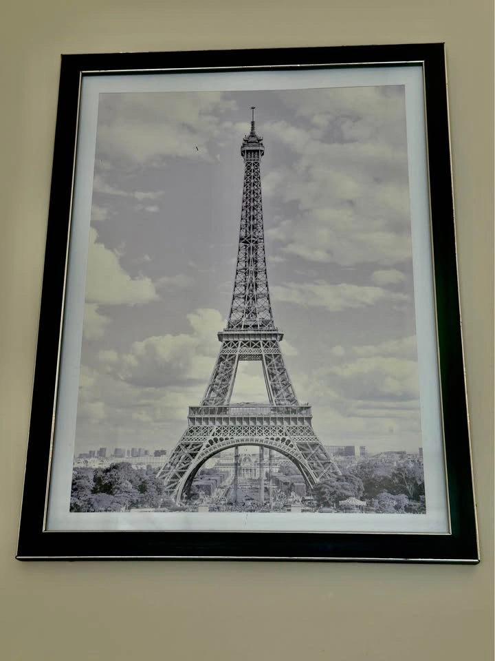 Eiffel Tower Framed Wall Art - Moving Sale! - photo 2