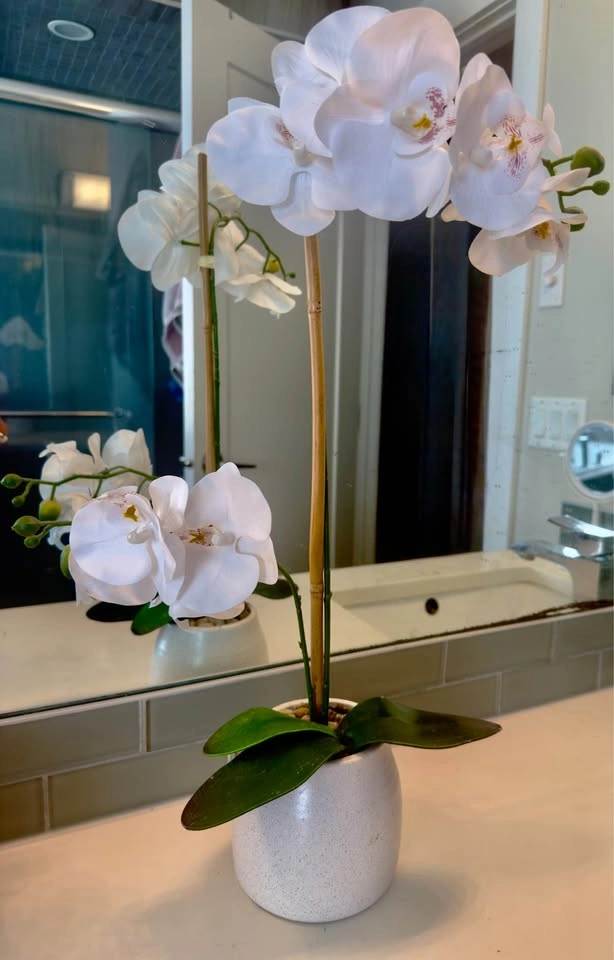 Elegant White Orchid Plant in Ceramic Pot – Modern Home Decor - photo 2