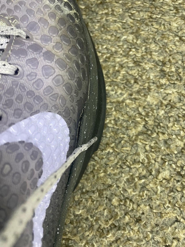 Kobe 6 eybl - photo 3