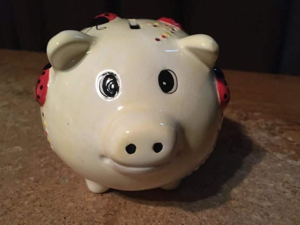 VINTAGE CERAMIC PIGGY BANK WITH LADYBUG DESIGN WITH STOPPER - photo 3