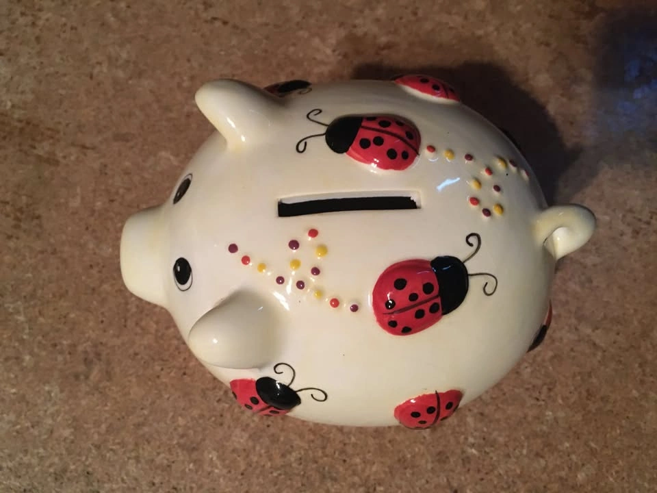 VINTAGE CERAMIC PIGGY BANK WITH LADYBUG DESIGN WITH STOPPER - photo 5