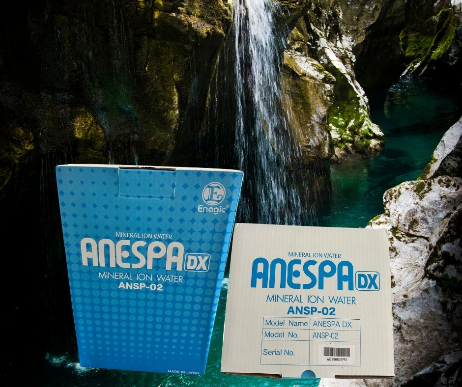 Anespa Mineral Ion Water