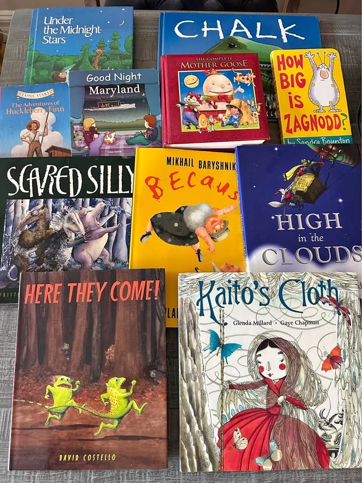 Hard covers kids books. Brand new.
