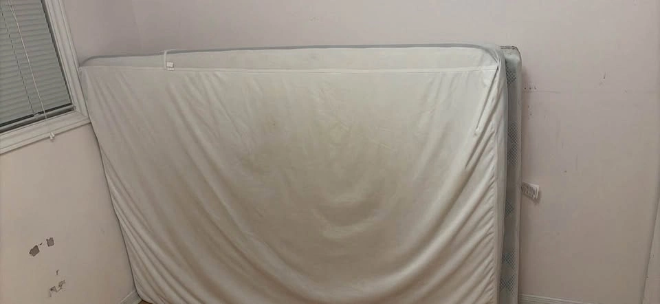Two Double Mattresses - photo 2