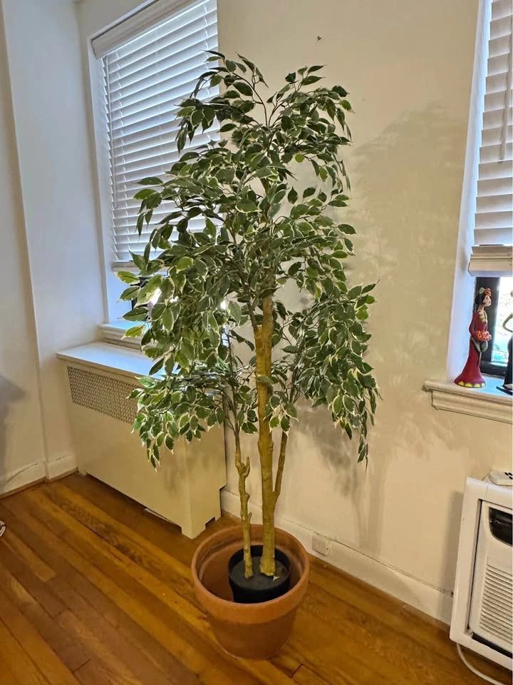 Moving sale: artificial plant