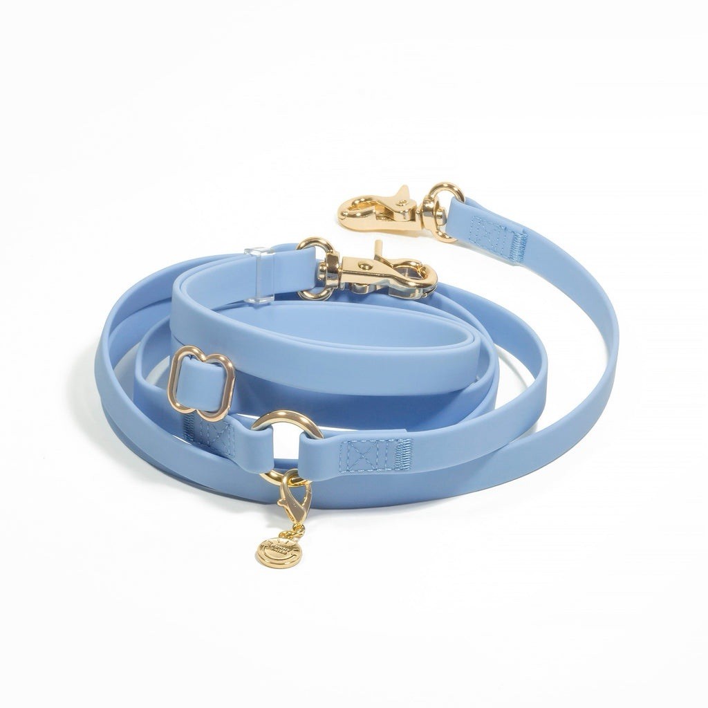 4-IN-1 Convertible Hands-Free Dog Leash - Sunny Tails