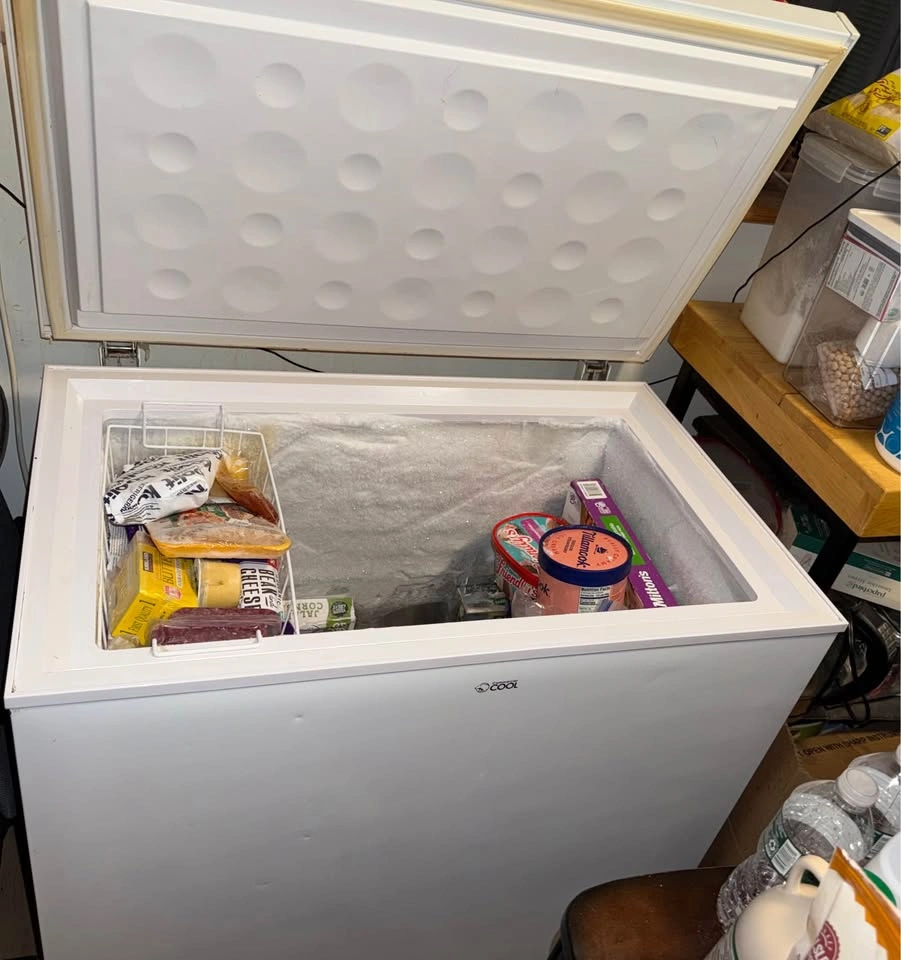 Commercial Cool Chest Freezer - photo 2