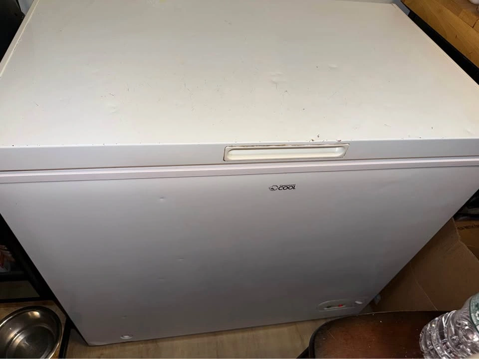Commercial Cool Chest Freezer - photo 3