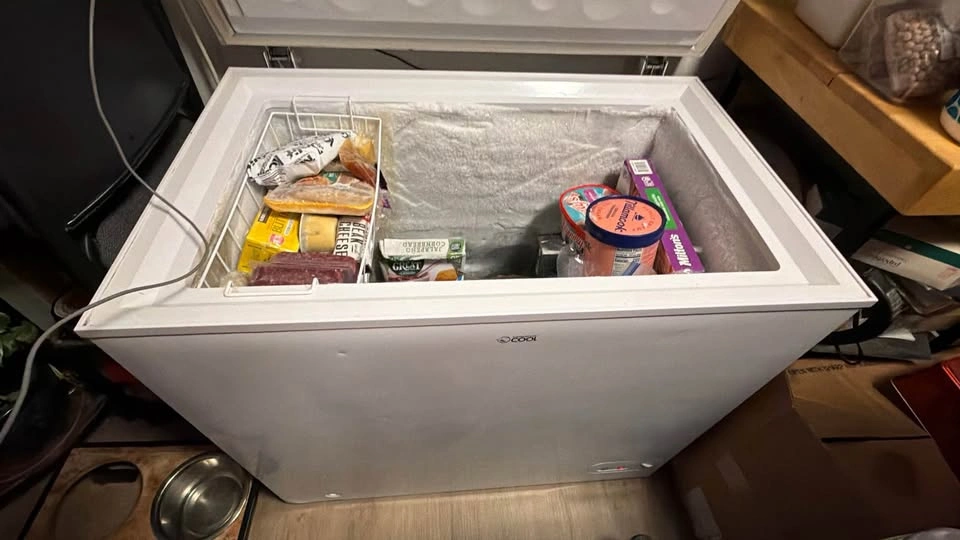 Commercial Cool Chest Freezer - photo 4