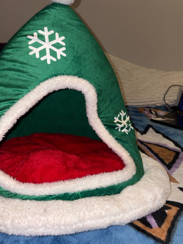 Cat house - elf hat