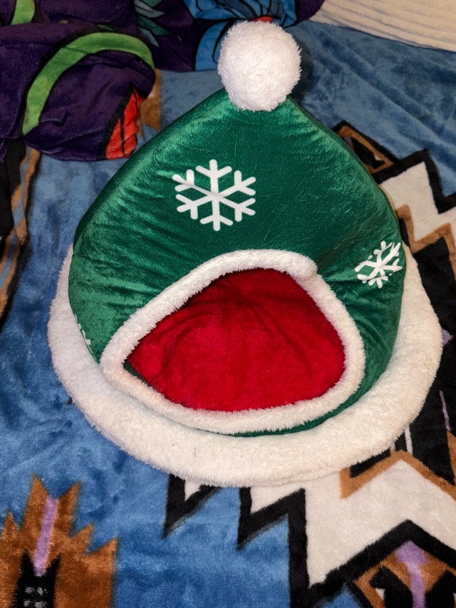 Cat house - elf hat - photo 2