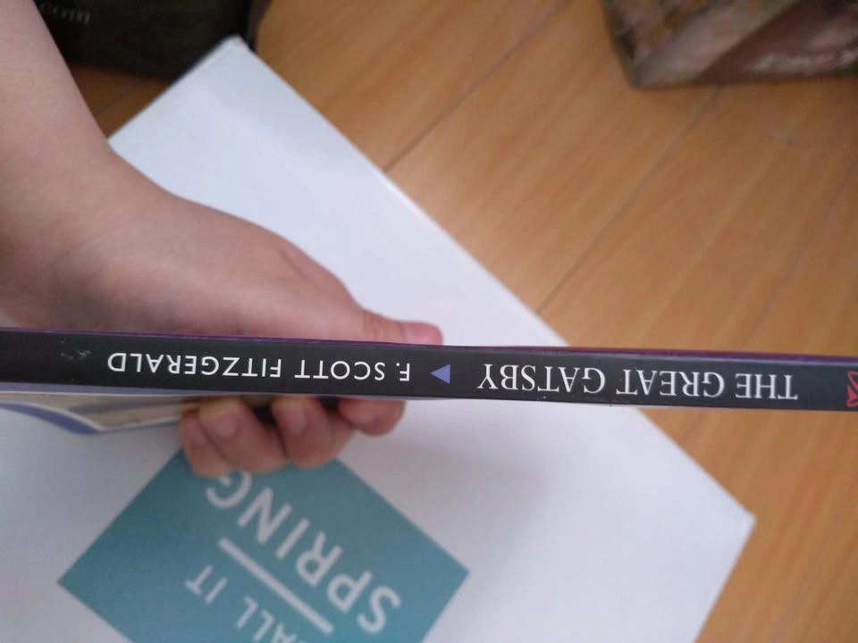 The Great Gatsby by F. Scott Fitzgerald - photo 3
