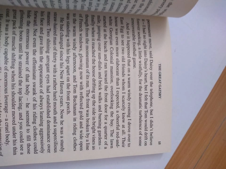 The Great Gatsby by F. Scott Fitzgerald - photo 4