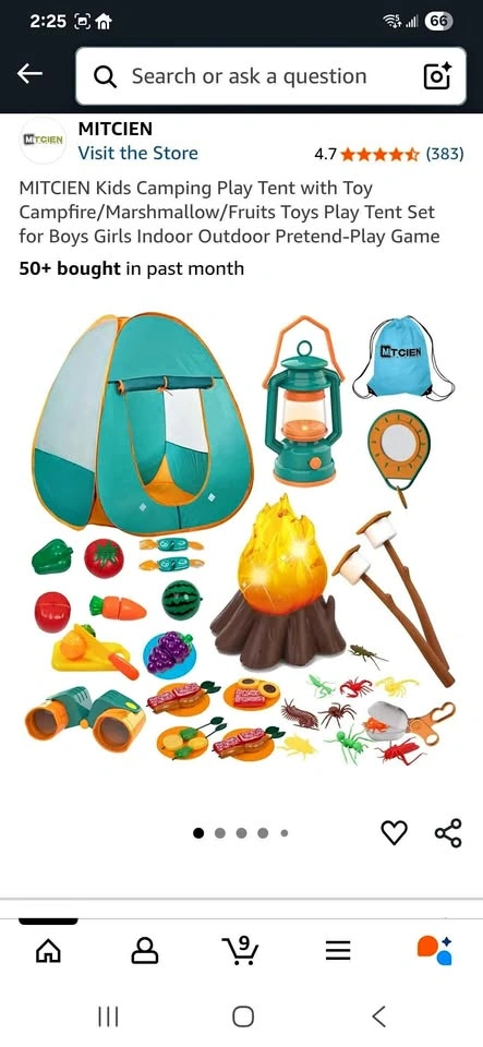 Kids Camping Play Tent