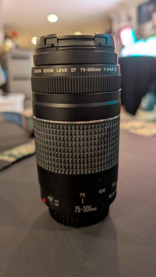 Canon EOS Rebel T7 DSLR Camera with Lenses - photo 2