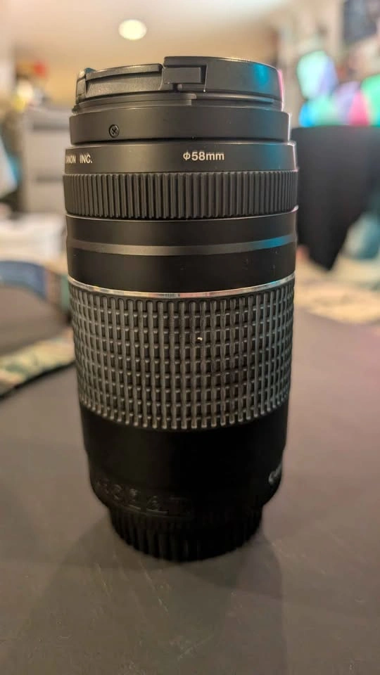 Canon EOS Rebel T7 DSLR Camera with Lenses - photo 3