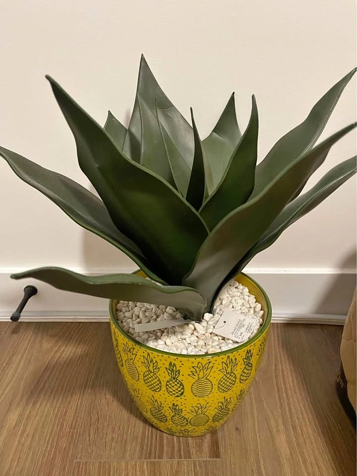 Home decoration