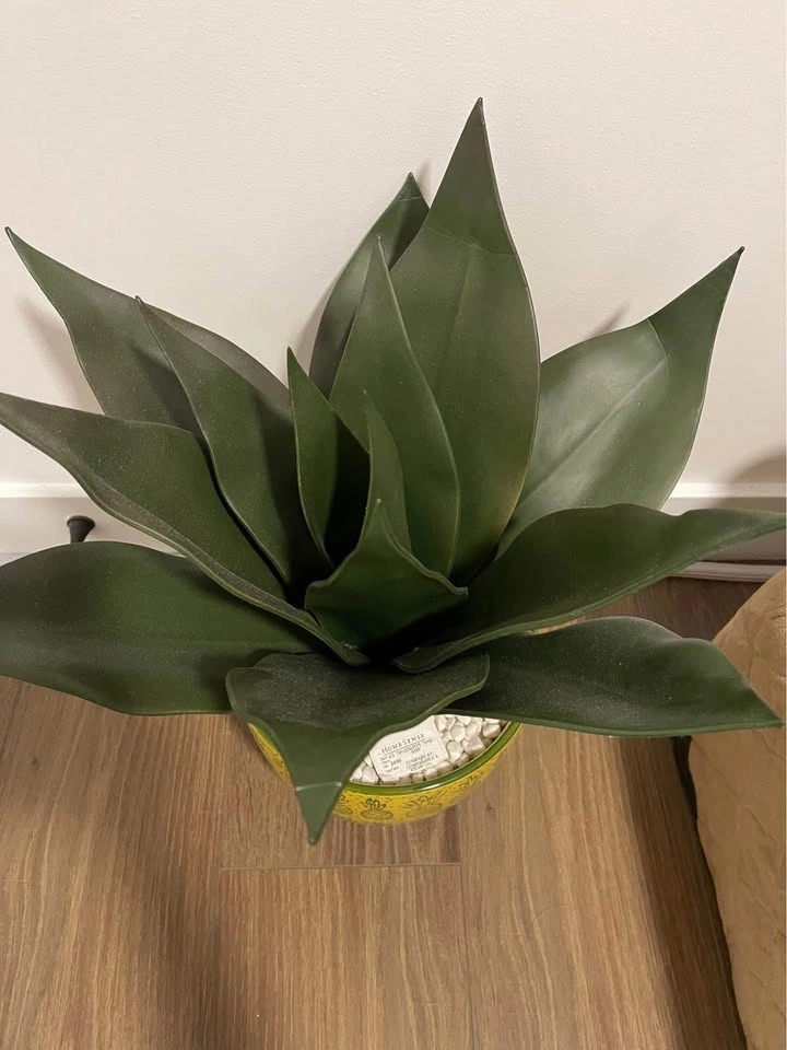 Home decoration - photo 2