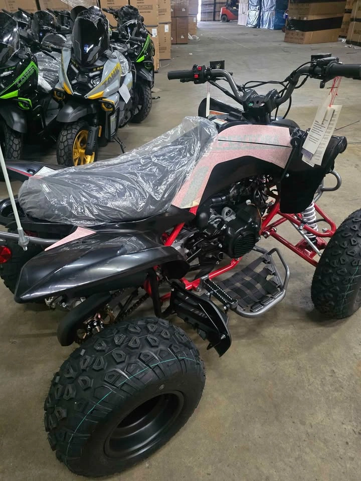 Pentora 200cc ATV Fully Auto w/Reverse - photo 4