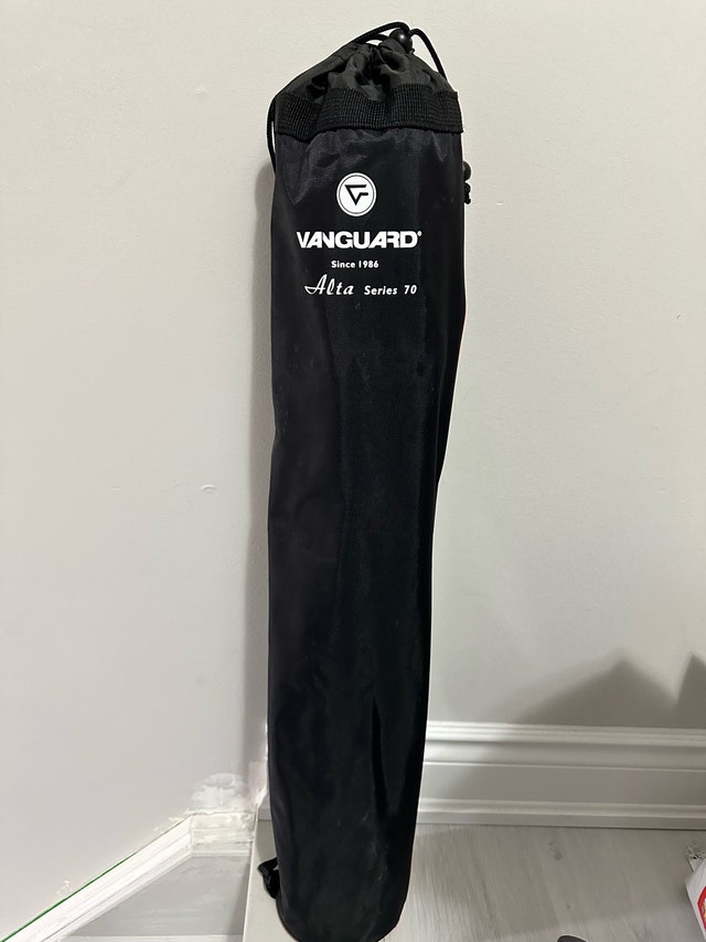 Vanguard Alta Pro 263AT Tripod w/ SBH-100 Head - photo 4