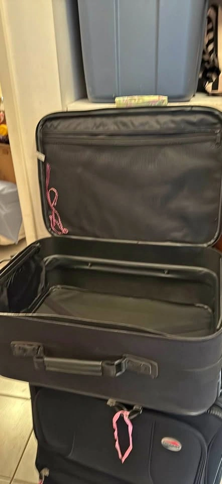 2 Luggage - Large and Carry-On