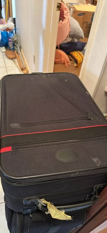 2 Luggage - Large and Carry-On - photo 2