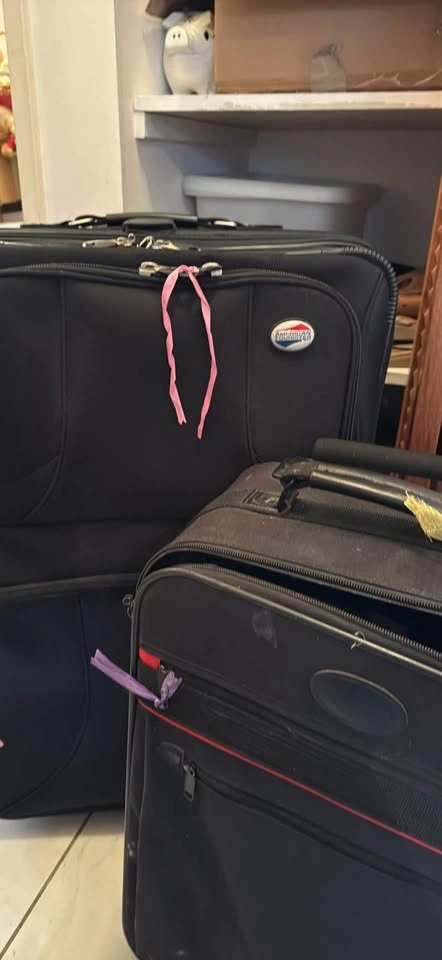 2 Luggage - Large and Carry-On - photo 4