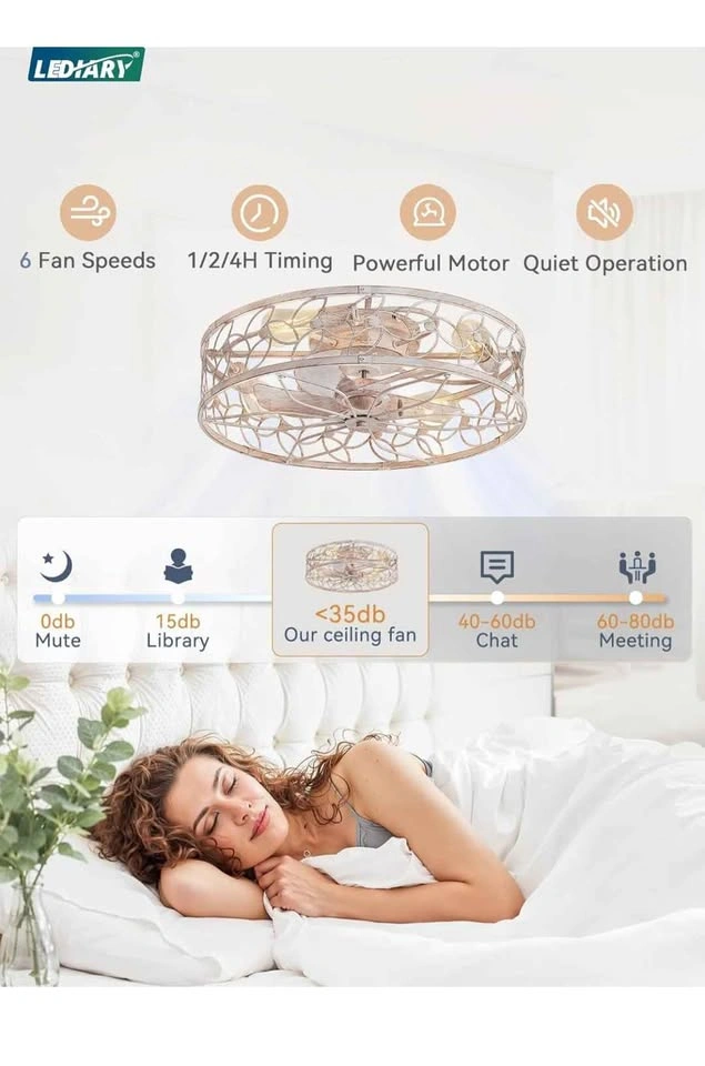 LEDIARY 23" Caged Ceiling Fan w/ Light & Remote - photo 3