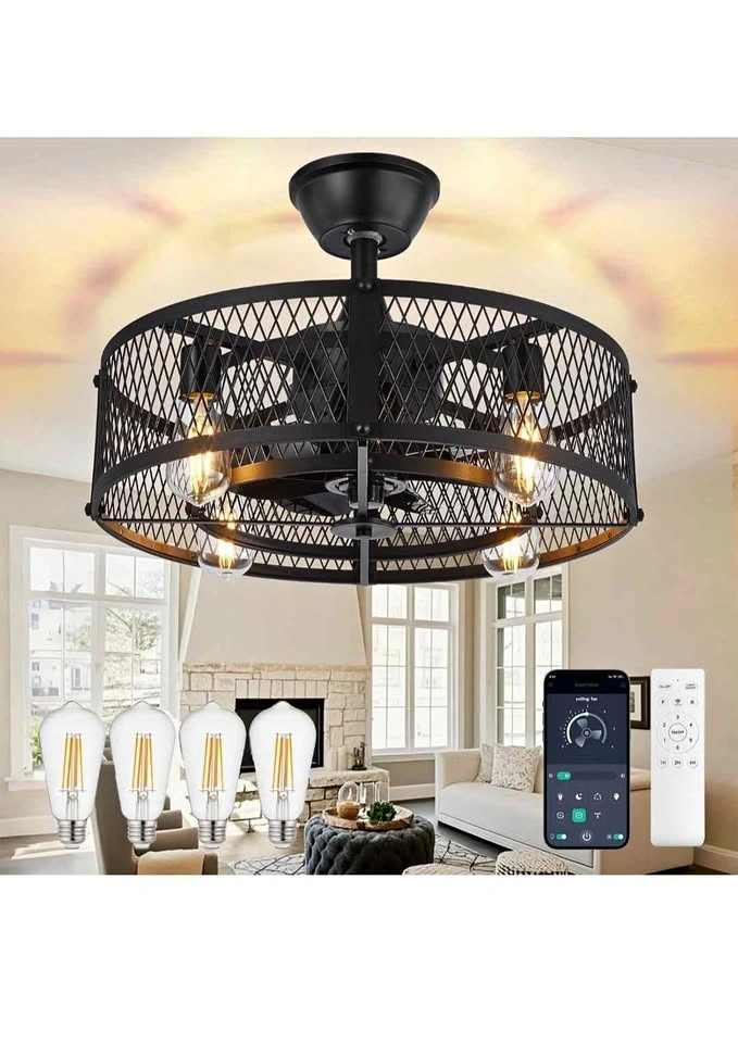 Dinglilighting DLLT Caged Ceiling Fan with Lights - 20"