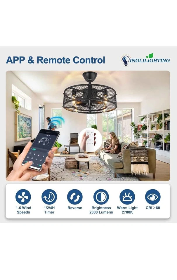 Dinglilighting DLLT Caged Ceiling Fan with Lights - 20" - photo 5