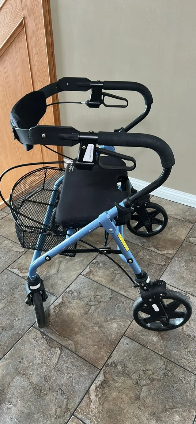 ProDe3 Bally's 19'' Walker