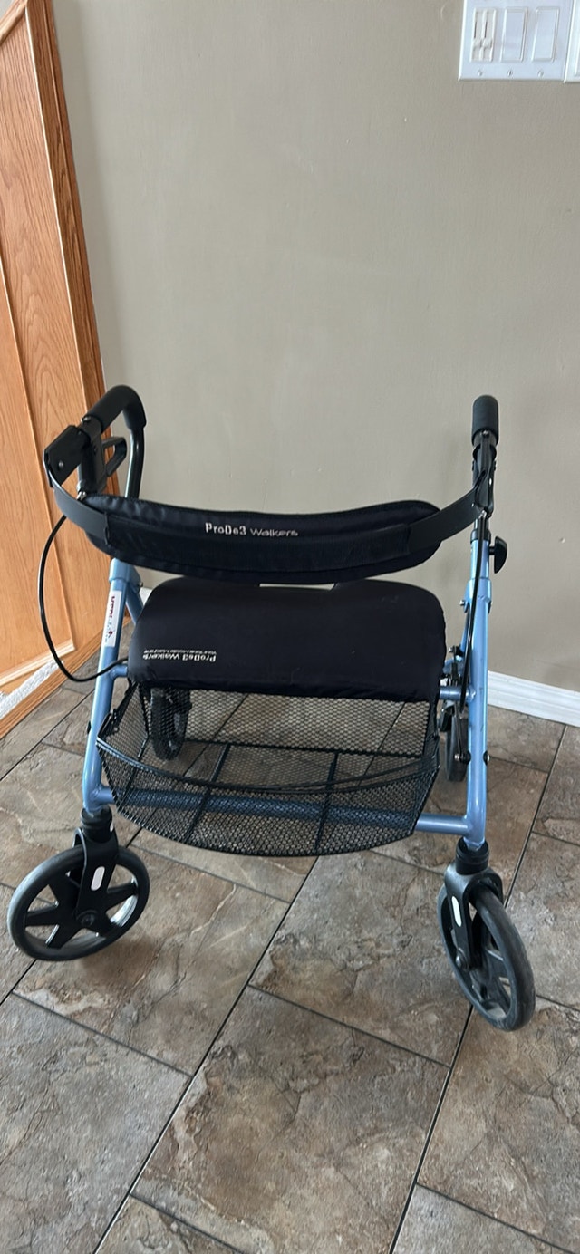 ProDe3 Bally's 19'' Walker - photo 2