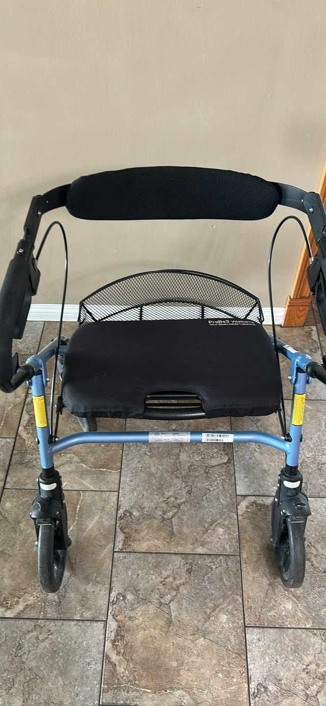 ProDe3 Bally's 19'' Walker - photo 3