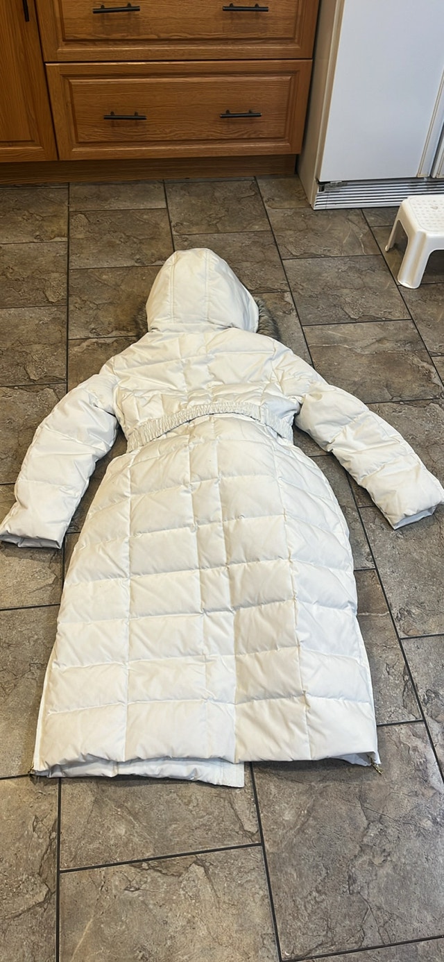 Laura Novelti by AJG Winter Feather Down Coat - Sz L - photo 2