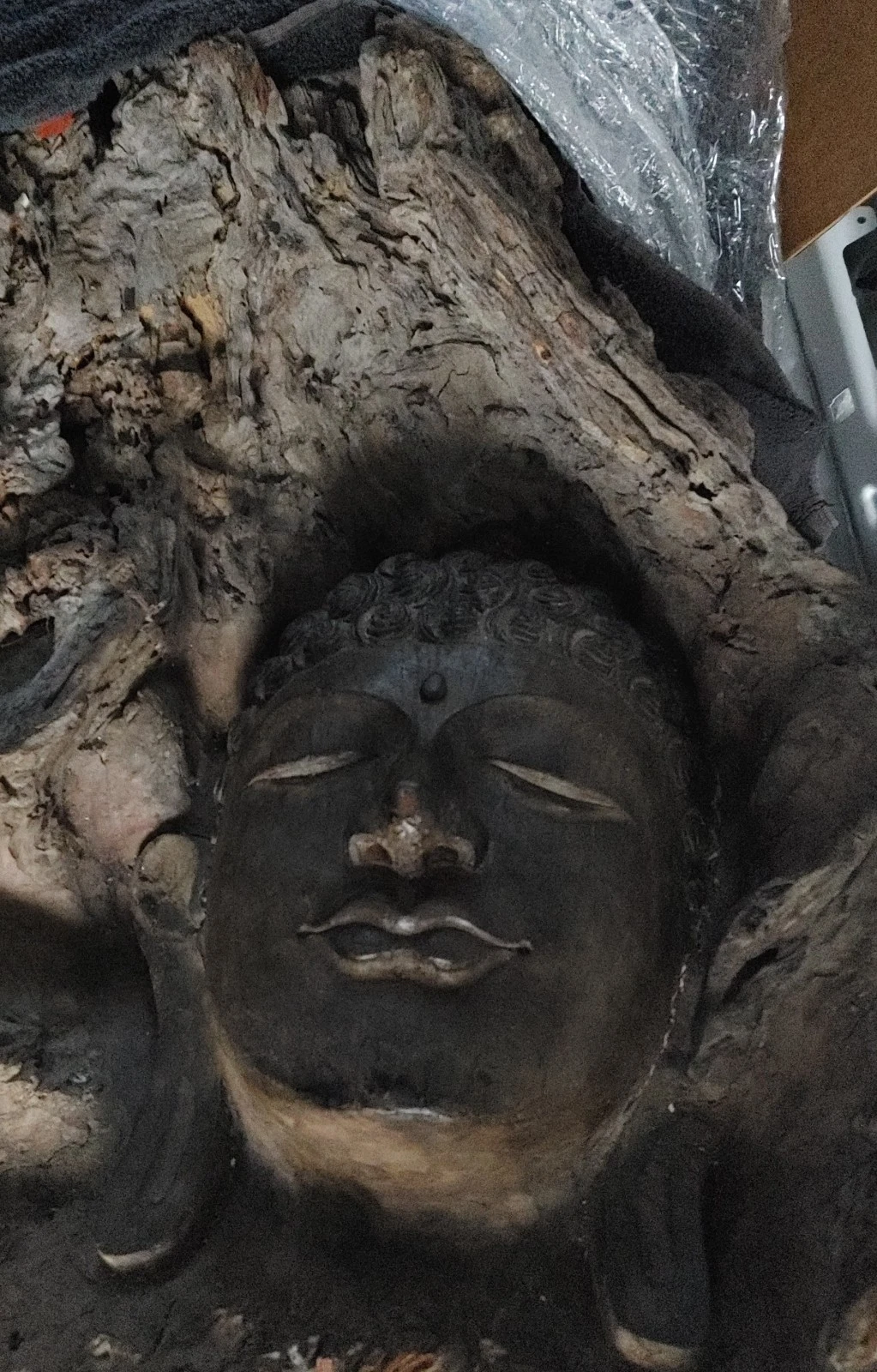 Hand Carved Wood "Medusa" Sculpture - Handmade in Bali - photo 5