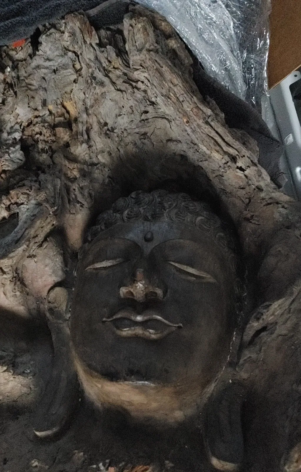 Hand Carved Wood "Medusa" Sculpture - Handmade in Bali - photo 5