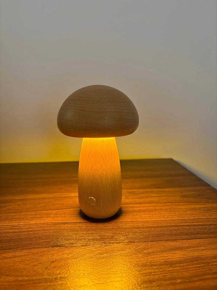 MCM wooden lamp / night light (rechargeable)