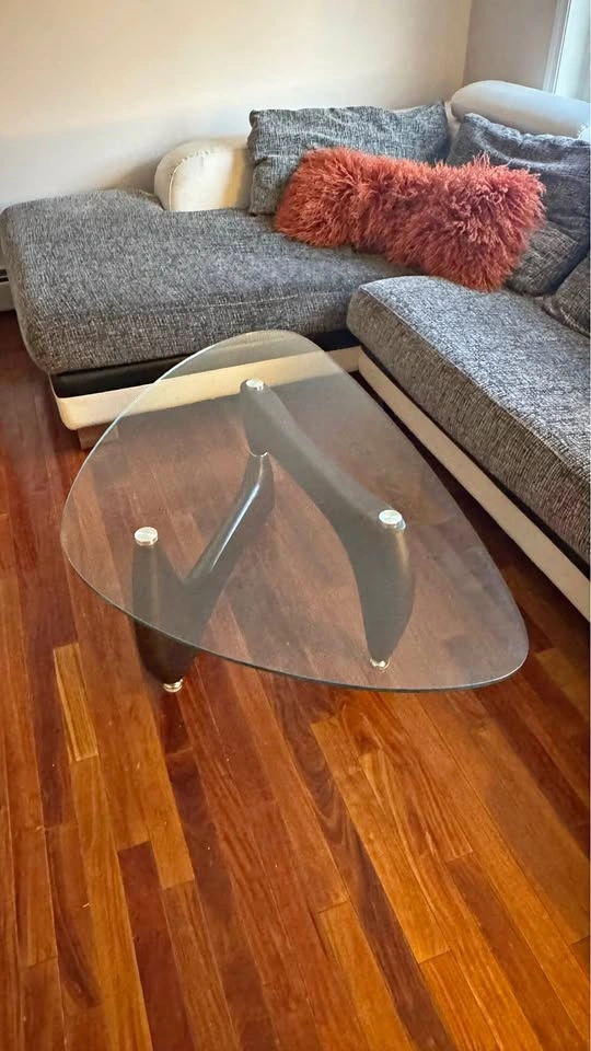Noguchi Style Coffee Table