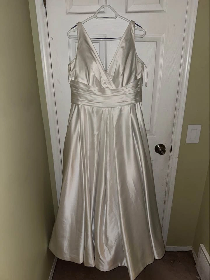 Pronovias Barcelona Wedding Dress – Size 10/12 OBO - photo 4