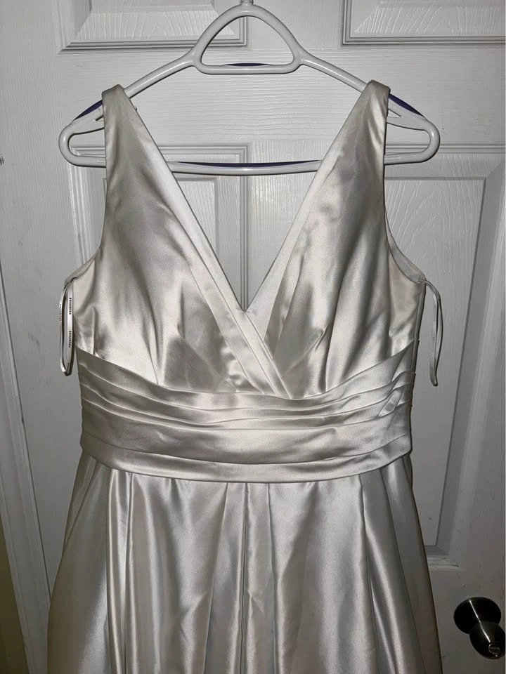 Pronovias Barcelona Wedding Dress – Size 10/12 OBO - photo 5