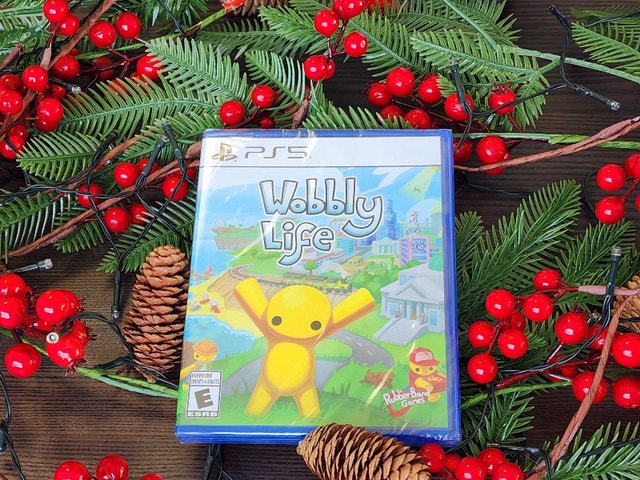 PS5 Wobbly Life Game